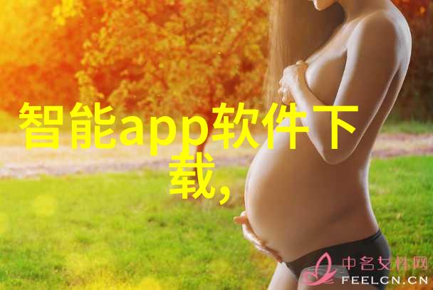环保型汽化器技术发展概述