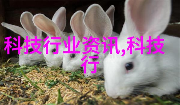 二手反应釜的新生绿色循环与创新再造