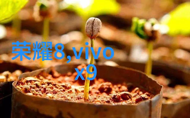 家居美学探索客厅装饰图片大全的创意灵感