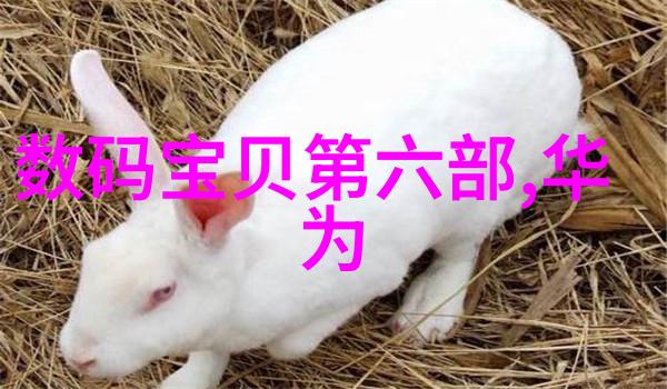 绿色环保项目中使用哪种类型的PE 管线