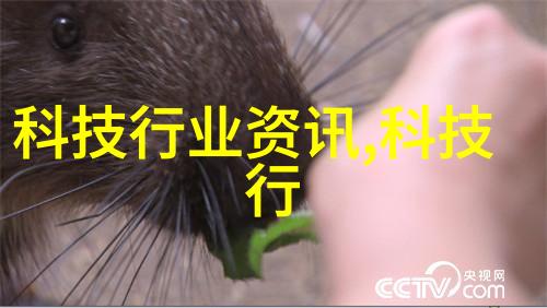 穿戴技术的新边界智能手机是否可穿戴