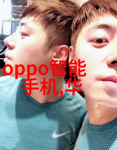 隐秘的专利档案揭开进度查询官网背后的神秘之谜