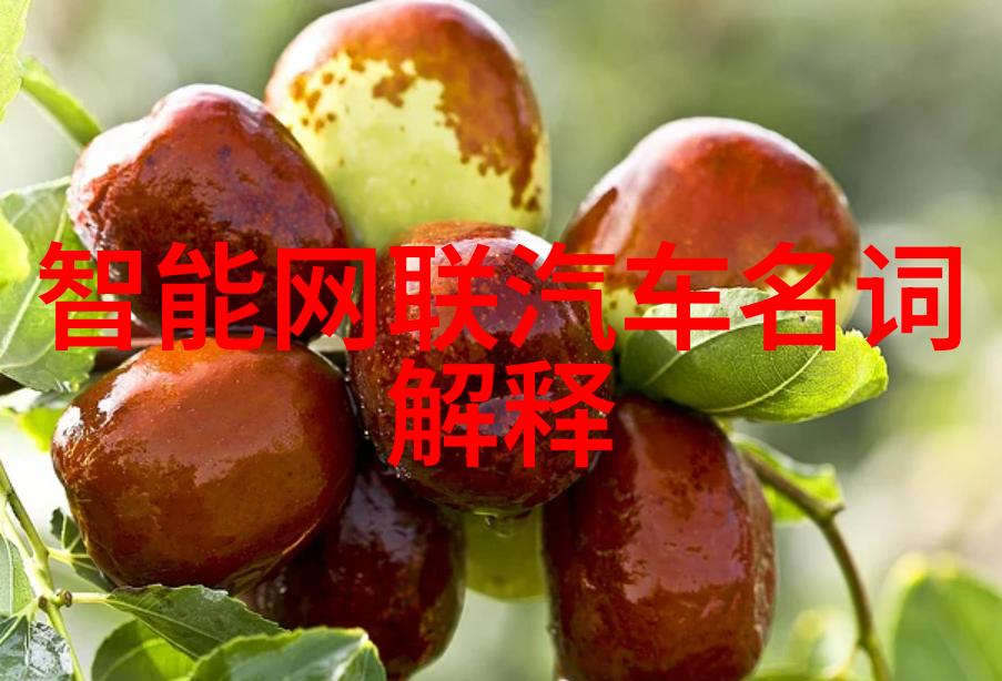 全面的PVC下水道管件视觉库