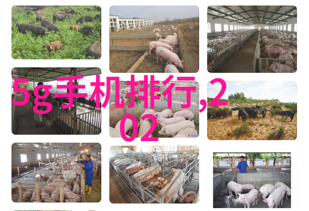 云南财经大学探秘那些未被揭开的学术传奇