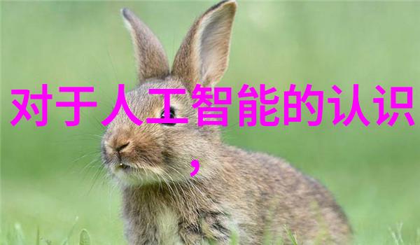 轮胎粉碎设备-废旧轮胎的新生高效率轮胎粉碎设备之选