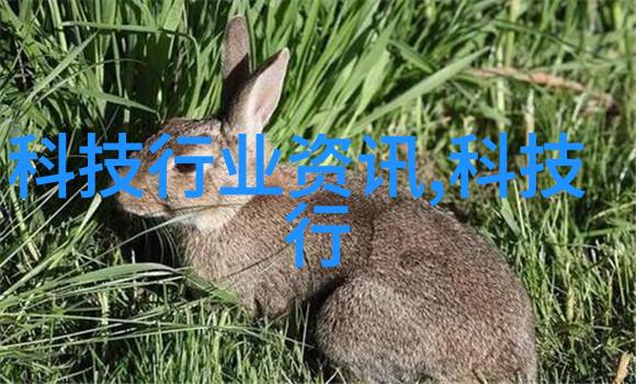 审计报告我是怎么发现公司的财务报表里有问题的