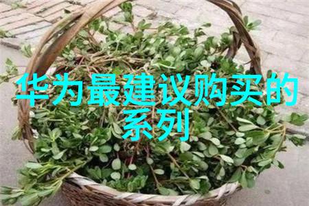 成濑心美ed2k穿越时空的音乐使者