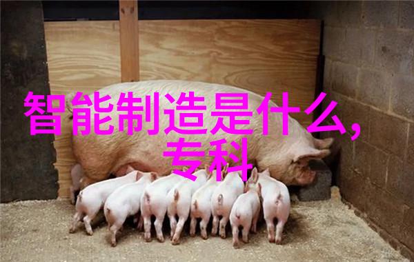 从0到1芯片是如何改变我们生活的