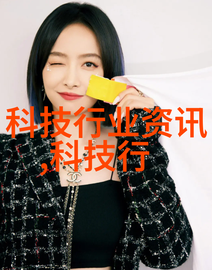 环境可持续发展战略实施指南深入浅出理解现代社会中所需的大型城市集成式水体管理信息平台