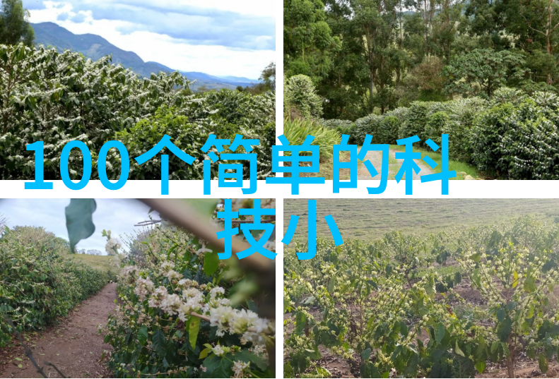 科技革新消毒新纪元的火花舞动