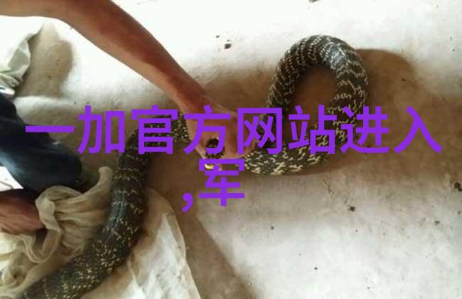在化工行业中为什么会使用不锈钢波纹填料