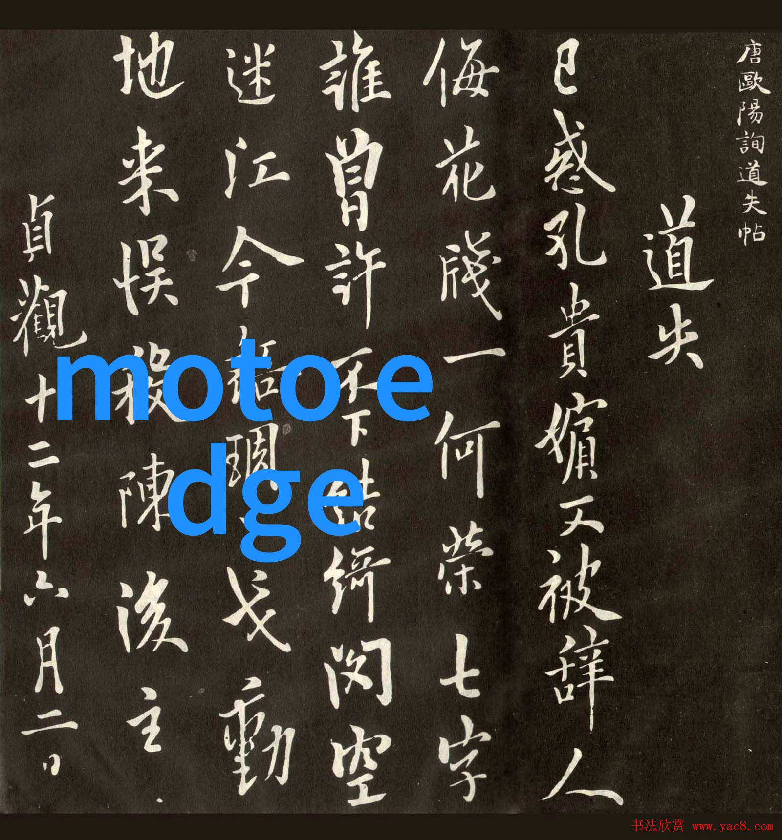 国产存储芯片业巨擘领航者与挑战者