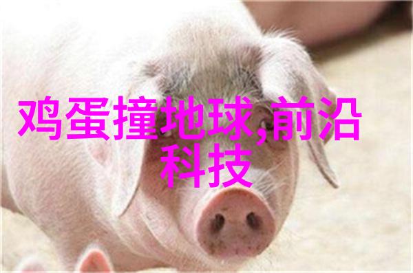 家居美学温馨客厅装修心得分享