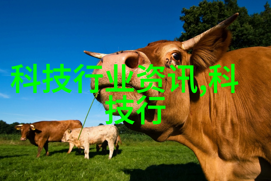 化学反应室设备配置与选择指南
