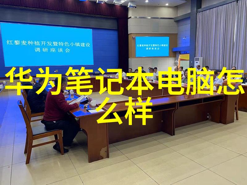灰度交响曲粉煤灰分选机的铜锣湾故事