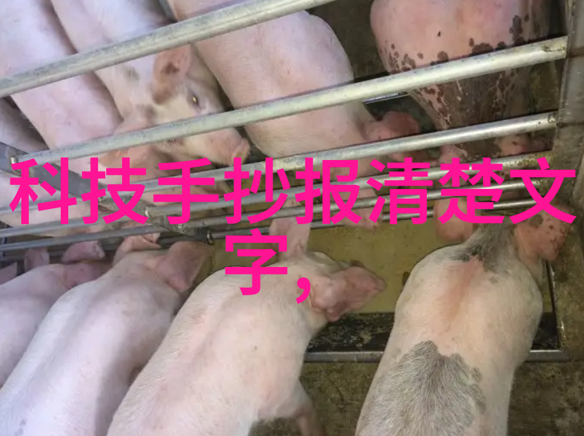 客厅装修设计我是怎么把我的客厅打造得既时尚又舒适的