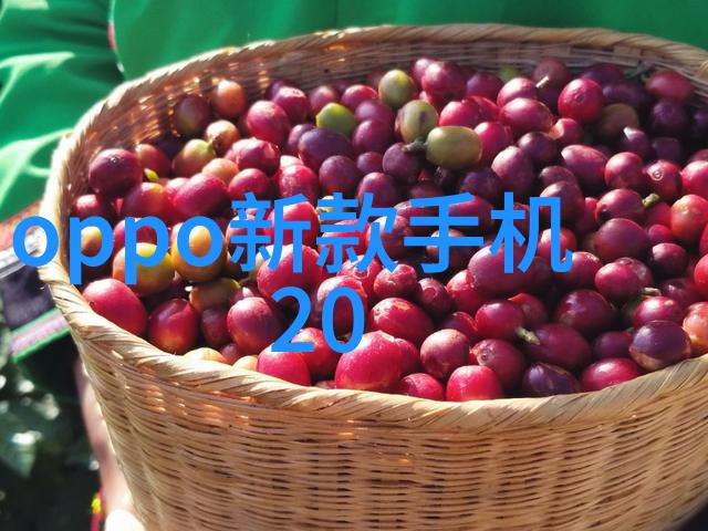 医院消毒供应室设备全览从消毒柜到自动洗涤器了解必需的清洁装备