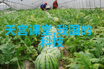 管式离心分离机的秘密运行
