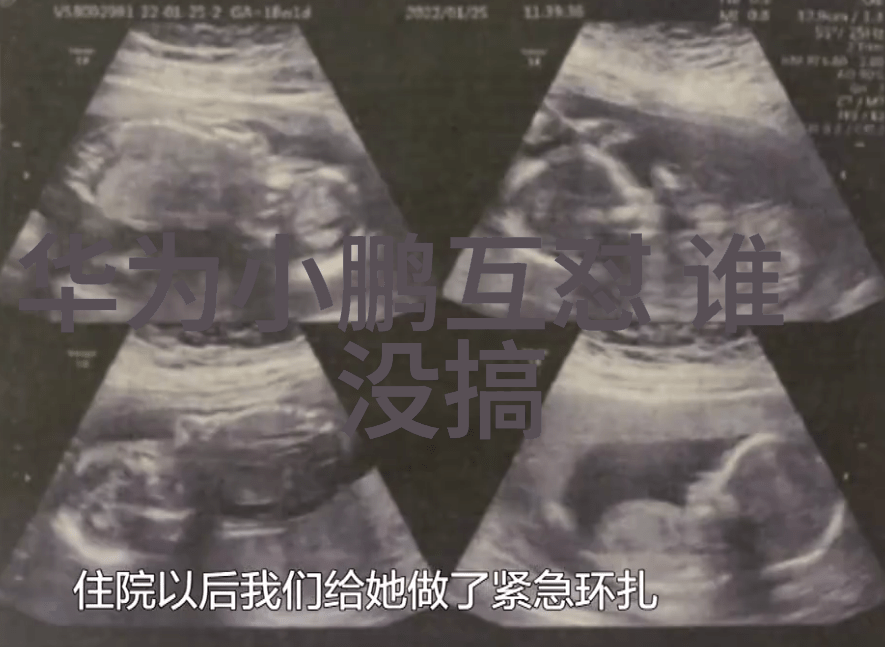 化工洁净室设备-高效隔离与纯净化工实验室的洁净室设备选择指南
