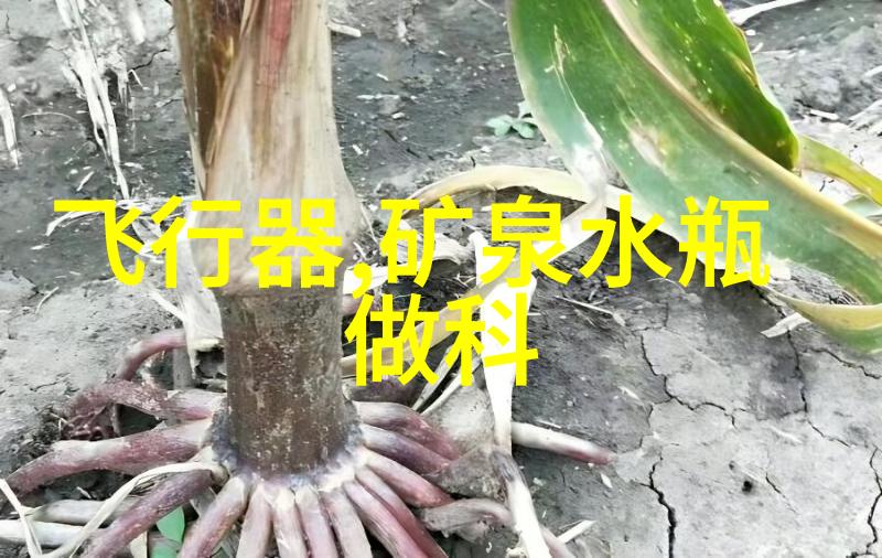 现代工业中的闪蒸干燥设备进展报告