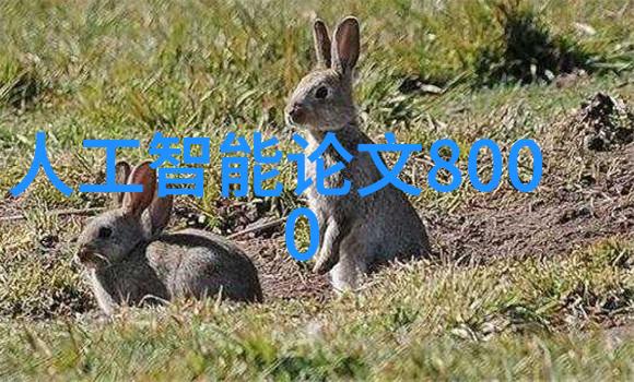 南京干燥设备技术革新与行业发展的双刃剑