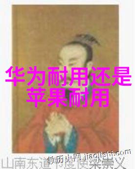 实验室的电加热设备-精确控制的温度王者探索实验室电加热设备的应用与挑战