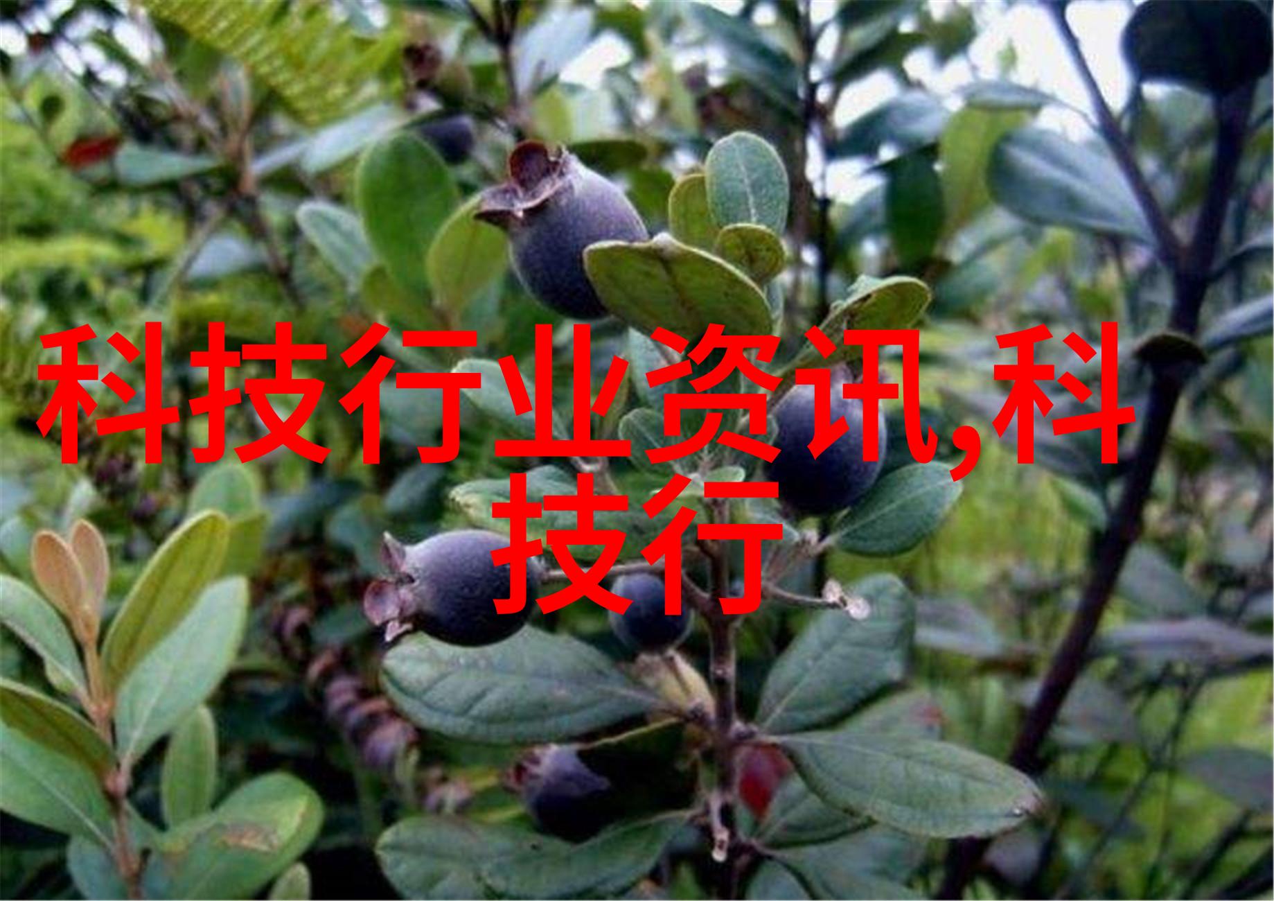 智能穿戴设备开发智能装备与系统专业的创新实践