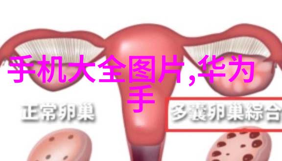 中国芯片产业与全球领先差距技术进步与市场竞争的对话