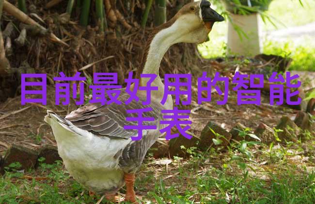 娇花养成记我的小花儿从零到英雄