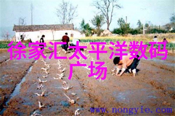如何自行检测水质寻找合适的工具和方法