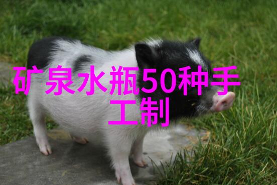 从零到英雄个人装修清单的详细攻略
