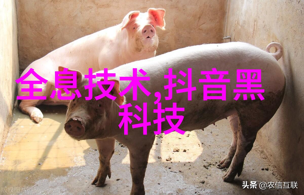 水处理设备的种类与应用概述