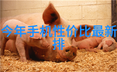 塑料烘干机静谧的机械之舞