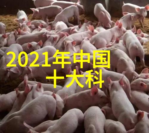 不锈钢方管价格表304不锈钢方管市场报价